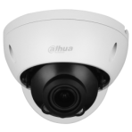 Dome Network Camera
