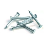 2-Inch Steel Nails